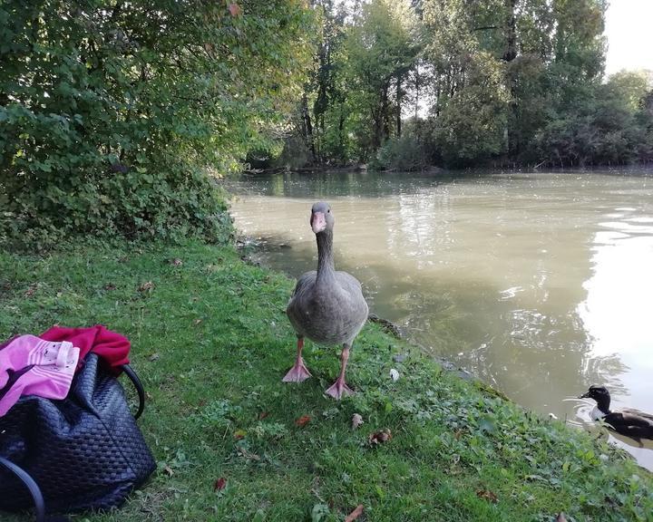 Seehaus im Englischen Garten